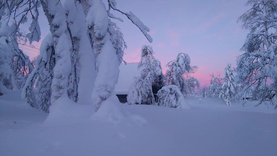 Galdotieva-Seo Villa Leppajarvi ภายนอก รูปภาพ